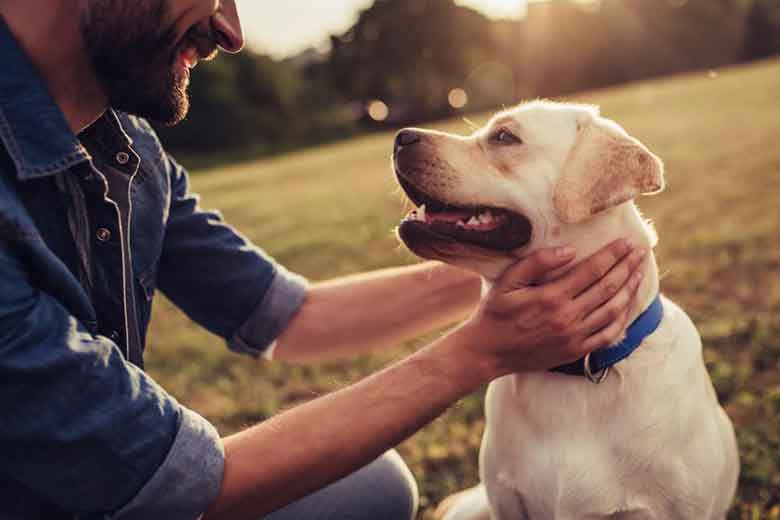 Smiling Man Playing with the Dog